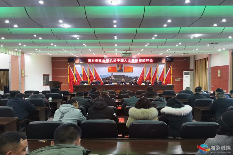 [林业局]收心归位，一起向未来