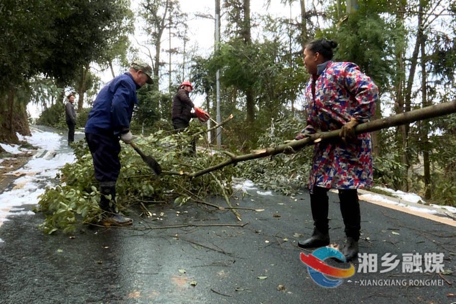 【应对低温雨雪天气】东台山国家森林公园：清理树木断枝 确保市民游园安全