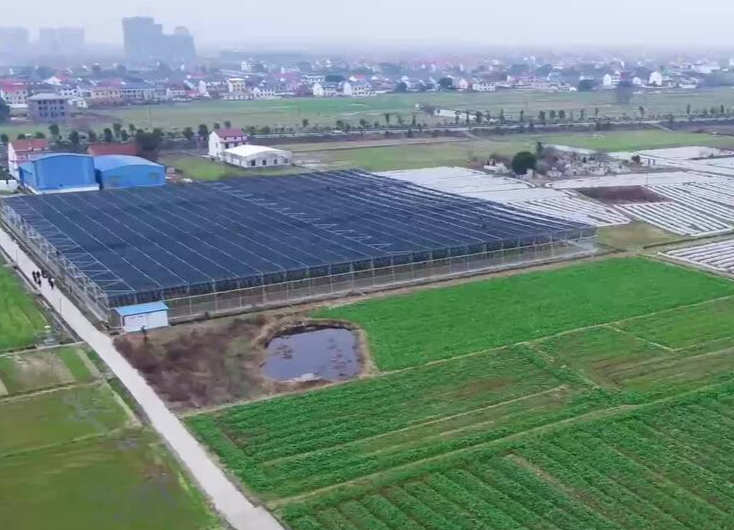 这个农业大省的备耕，为何从建“厂”开始？