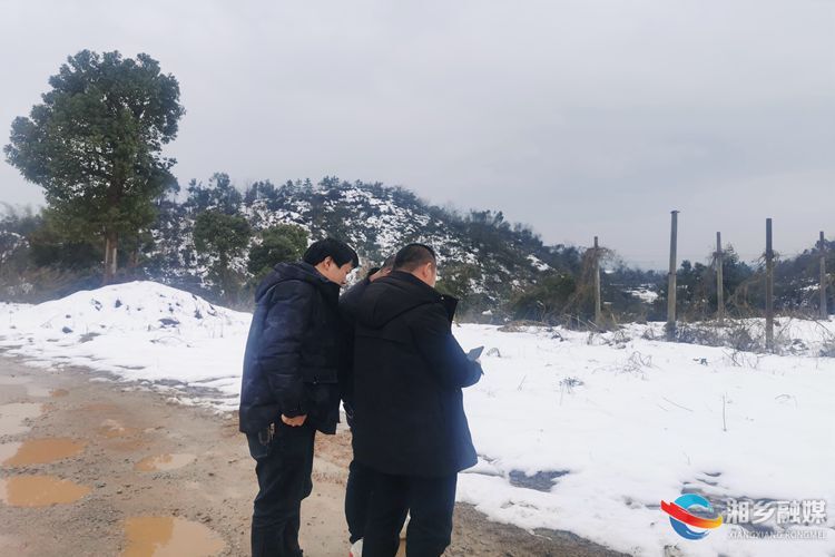 [林业局]开展油茶资源全面摸底调查