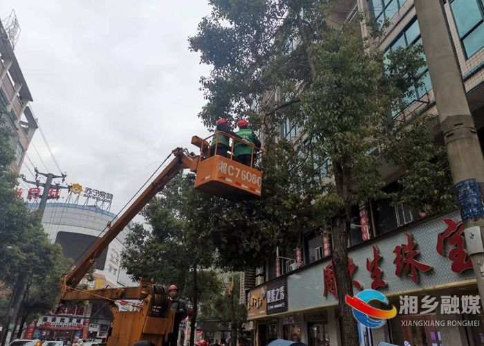 [城管局]清理雪后断枝 消除高空隐患