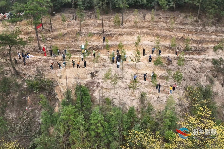 市委组织部：种下“组工林” 植绿助创森