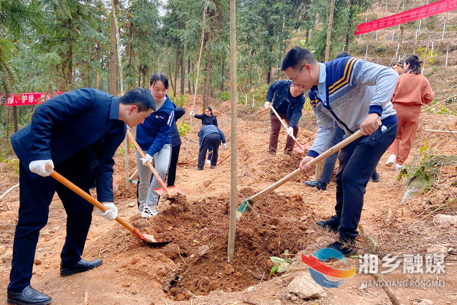 三月好春光 宣传系统植树忙