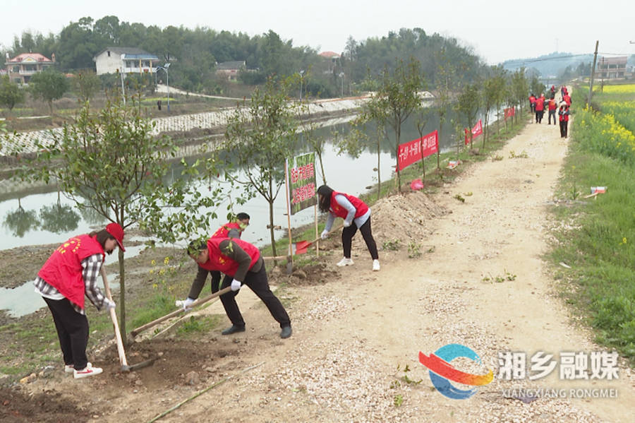 市教育局：植树添绿 让春天靓起来