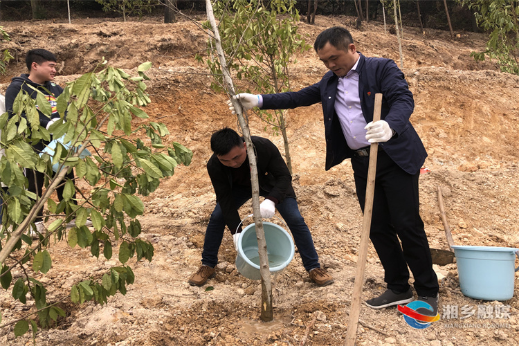 [离退休干部服务中心]共建组工林 植绿助创森