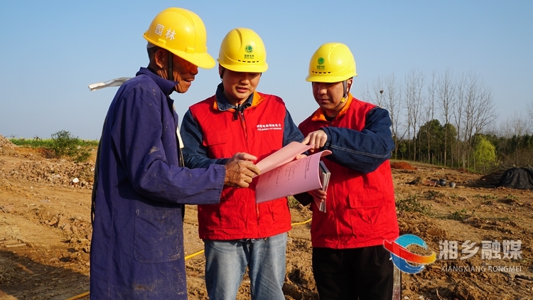 国网湘乡市供电公司：植树节里“种安全”