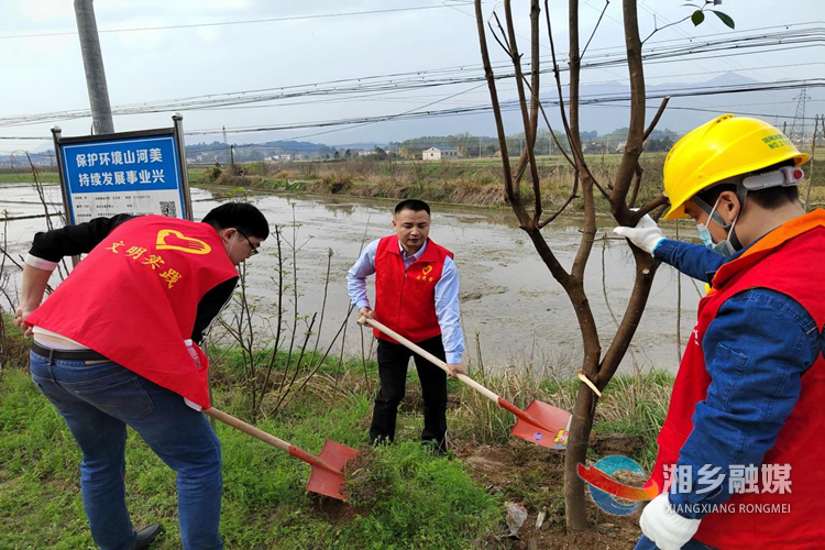 [自然资源局]植树造林黄金季 美化环境绿先行