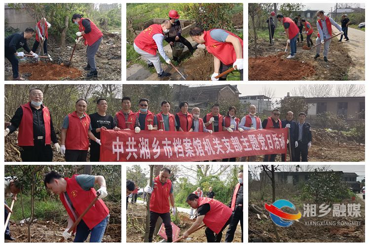 [档案馆]共植生命之树 共享绿色家园