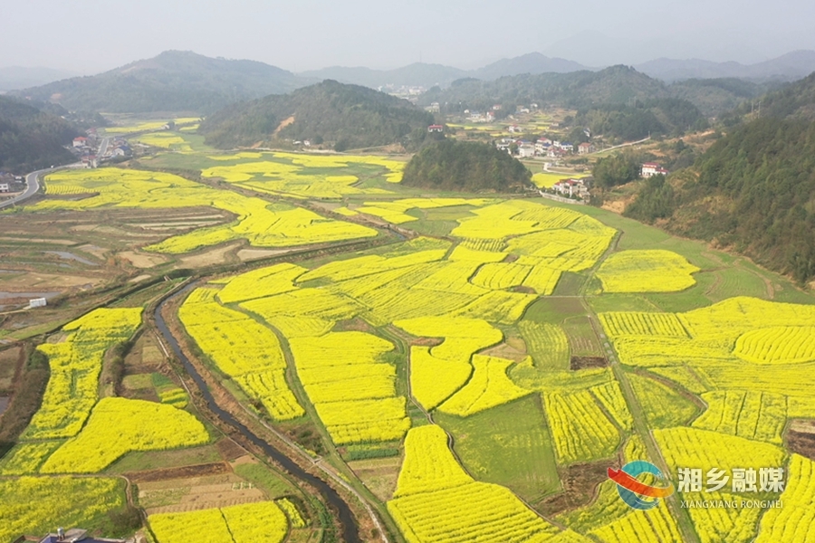 人勤春来早 奋进新征程|湘乡：“稻油”轮作 打造油菜“花海”