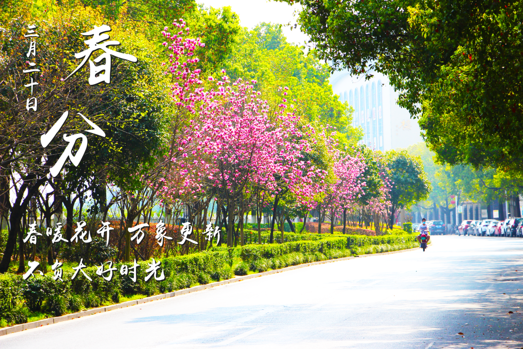 今日春分丨桃红李白，“竖蛋”迎春
