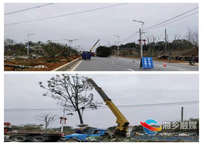 【创建全国文明城市】[城管局]春季补植助力城市再添新绿