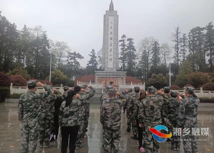 【党史学习教育】[退役军人事务局]清明祭扫主题党日活动：缅怀革命先烈 汲取奋进力量