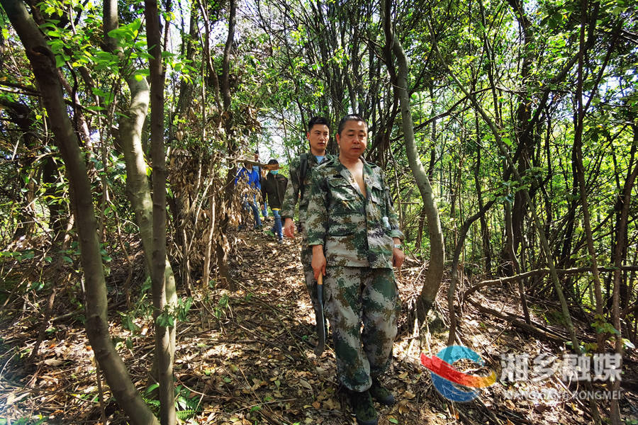 披荆斩棘入深山 湘乡市推进森林蓄积量样地调查