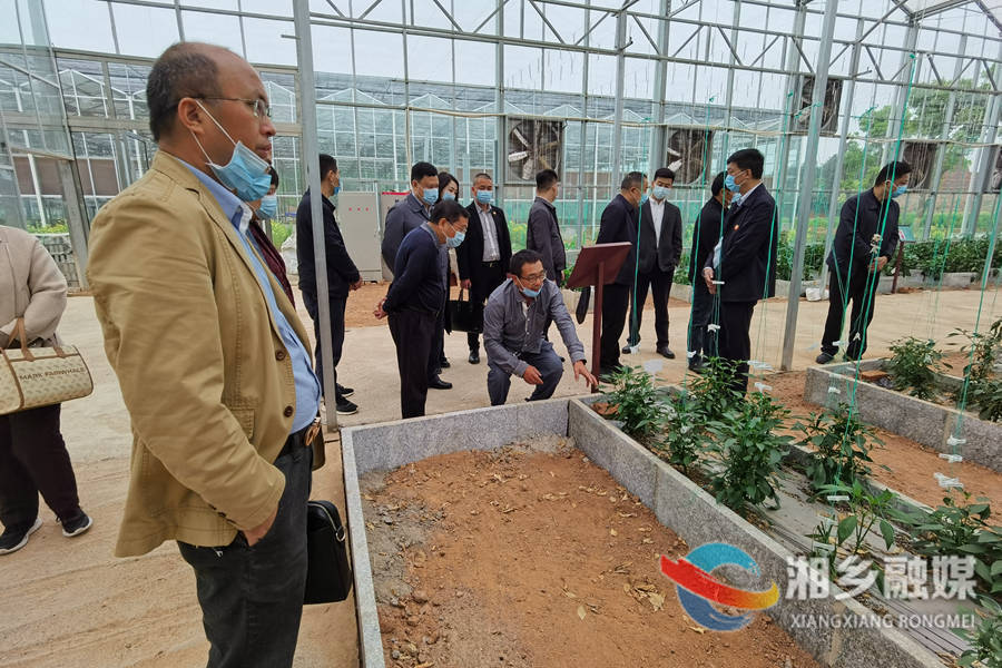 湘潭市政协调研组来湘乡开展专题协商调研