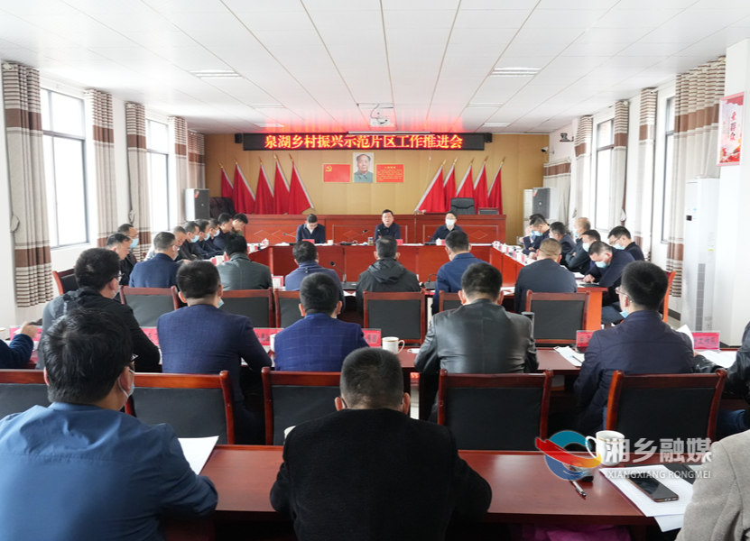 赵新文：加快脚步 有序高效推进泉湖片区乡村振兴工作