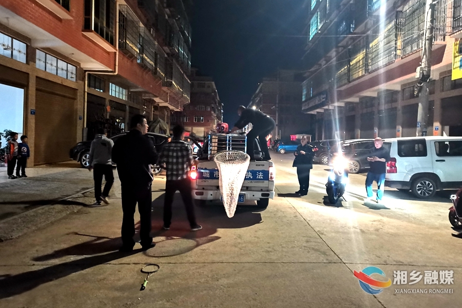 【创建全国文明城市】东山街道：整治流浪犬只 劝导文明养犬