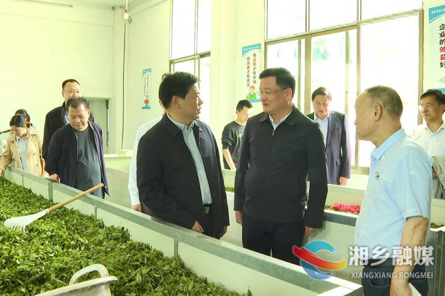 省供销社监事会主任廖国锋来湘乡调研“两个到户”推进等工作