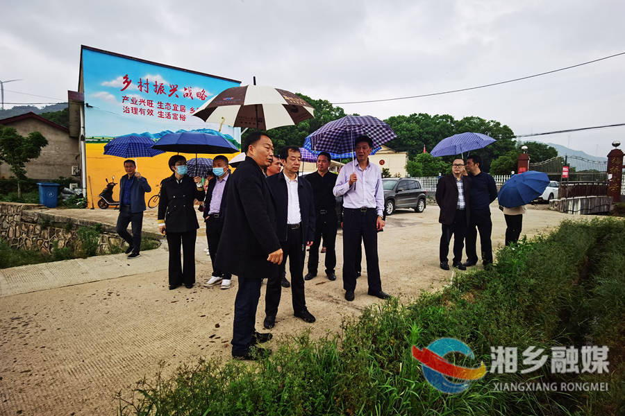 湘潭市政协来湘乡开展“稳定粮食播种面积”专项监督调研