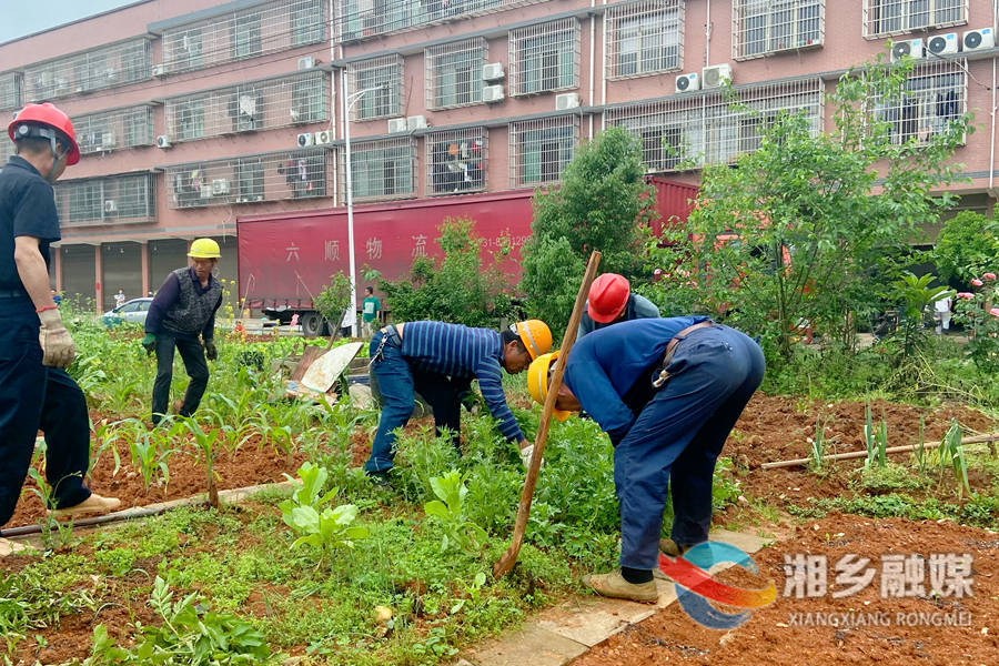 【心连心走基层 面对面解难题】湘乡经开区：整治环境卫生 美化辖区环境