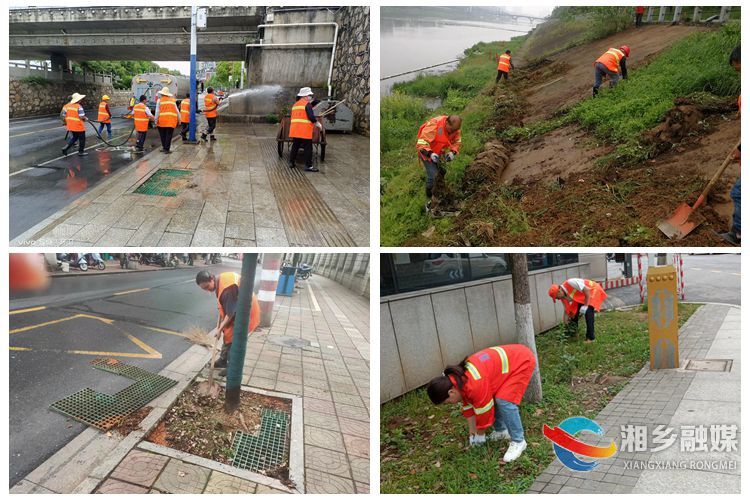 [城管局]开展爱国卫生运动 助力“城市进位工程”