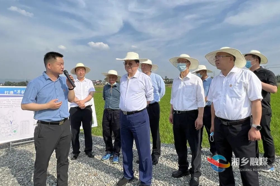 张健在湘潭长沙调研：推动实施就业优先战略，开创县域经济高质量发展新局面