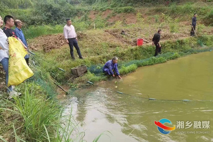 [人民法院]用心用情帮扶 助力乡村振兴