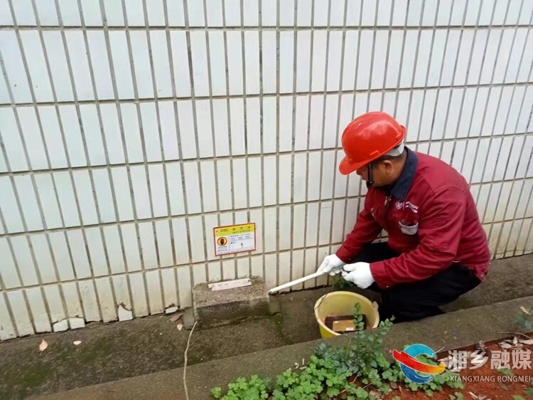 【创卫在行动】[税务局]除“四害”统一投药消杀 预防虫媒传播疾病发生