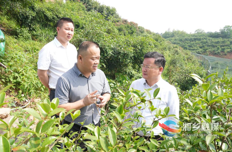 赵新文到乡镇调研经济社会发展情况