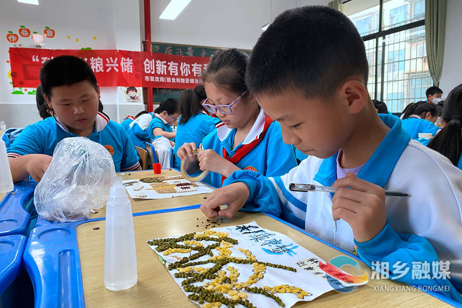 “双减”下的快乐课堂 | 向阳学校：识五谷 巧作画 倡导节约粮食