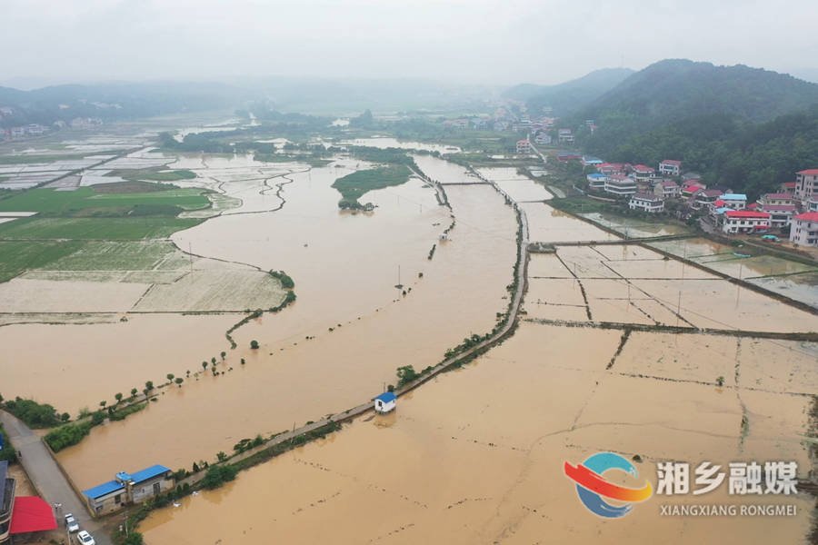 【闻“汛”而动】强降雨导致我市多个乡镇受灾 干群同心抗灾自救