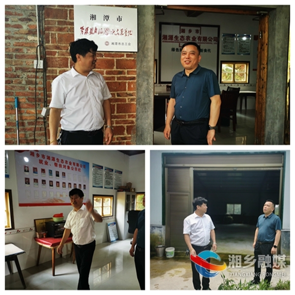 [总工会]发挥劳模作用 助力乡村振兴