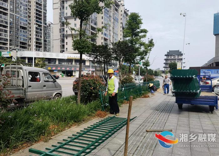 [城管局]安装绿化带隔离护栏 有效提升城市形象