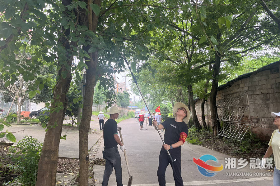 【文明创建进行时】新湘路街道：两新组织党旗红 助力社区大扫除