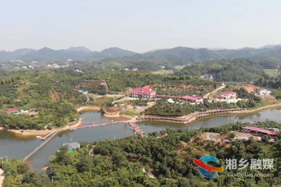 【乡村振兴】农夫宝生态园：杨梅红满枝 带动乡村游