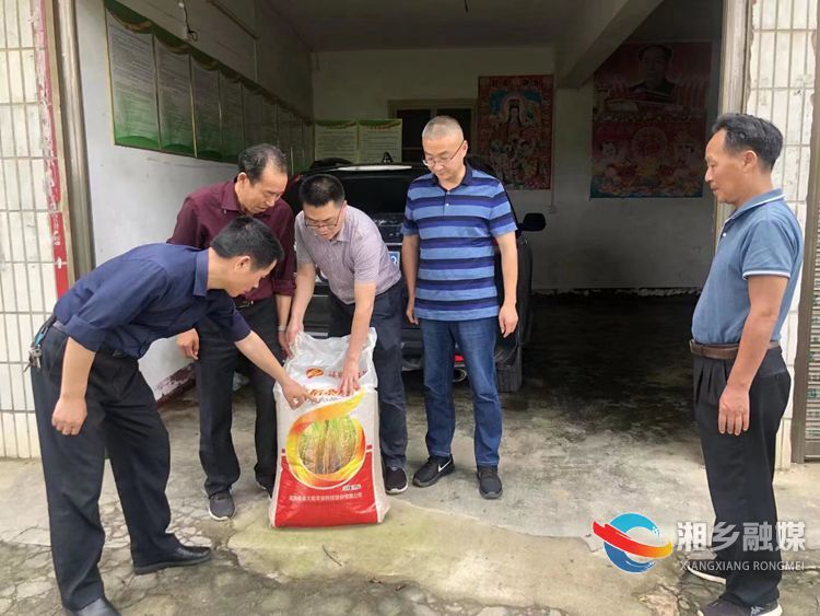 [农业农村局]开展农技服务指导 低镉种子送到家