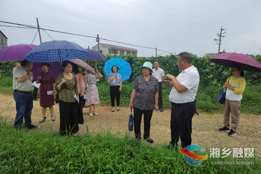 省人大来湘乡调研《就业促进法》审议意见落实情况