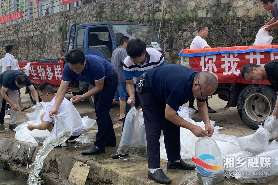 涟水清清鱼儿欢 300万尾鱼苗“安家”涟水河