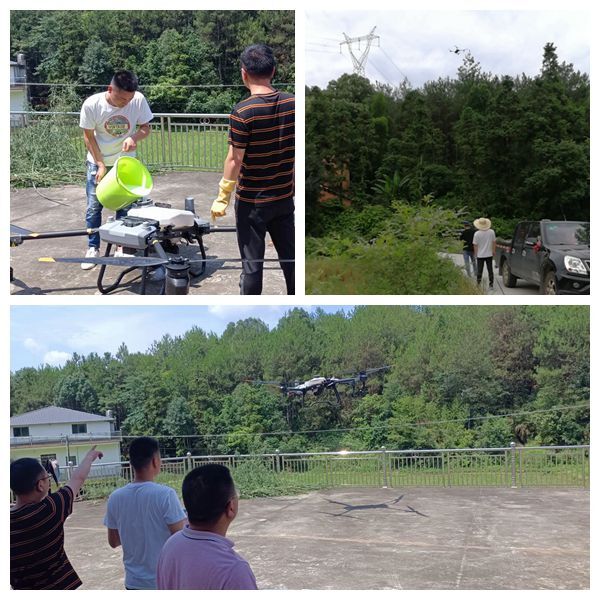 [林业局]无人机防治第一代松毛虫