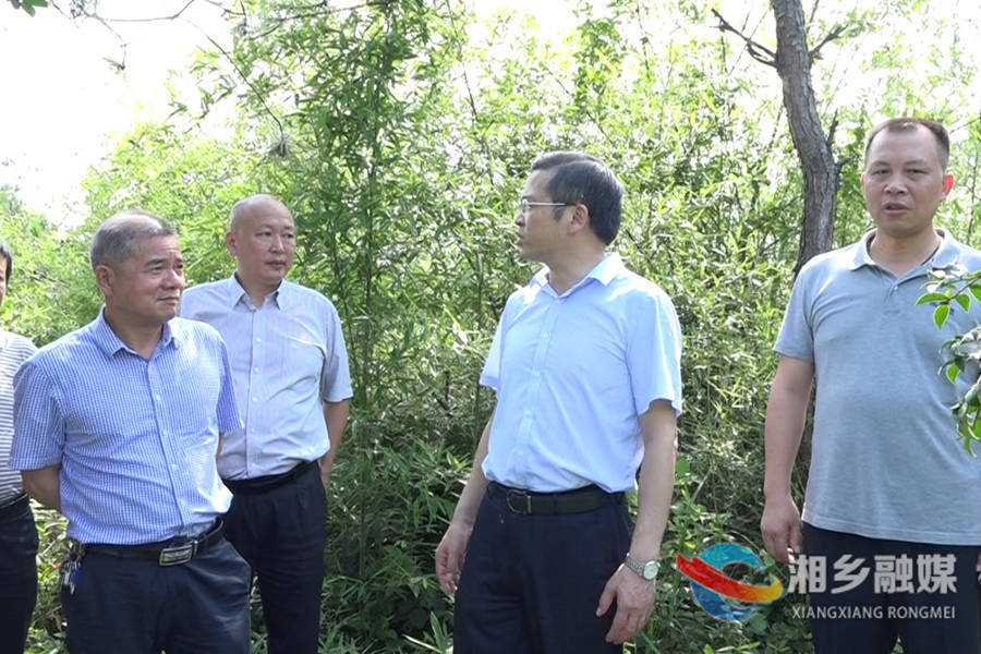 湘潭市副市长陈爱民来湘乡开展巡林工作并调研乡镇污水处理设施建设