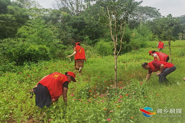 [团市委]联点共建一家亲 携手共创文明城