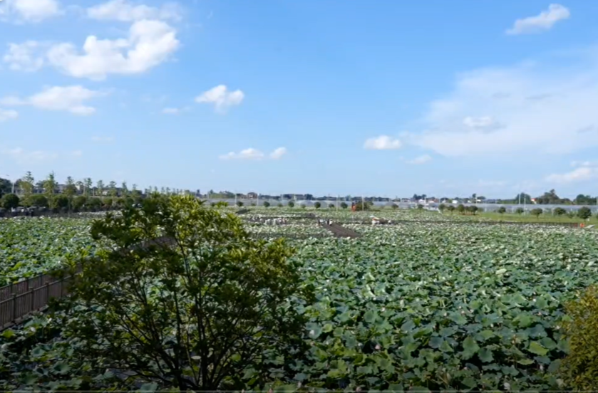 湘乡市委书记、市长带头消费 点燃节会经济