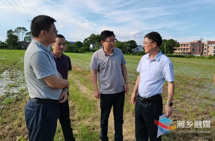 省自然资源厅来湘乡开展耕地保护工作专项督导