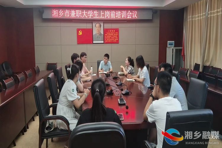 团市委：召开“智汇潇湘·鸿雁之约”大学生“返家乡”社会实践活动岗前培训会议