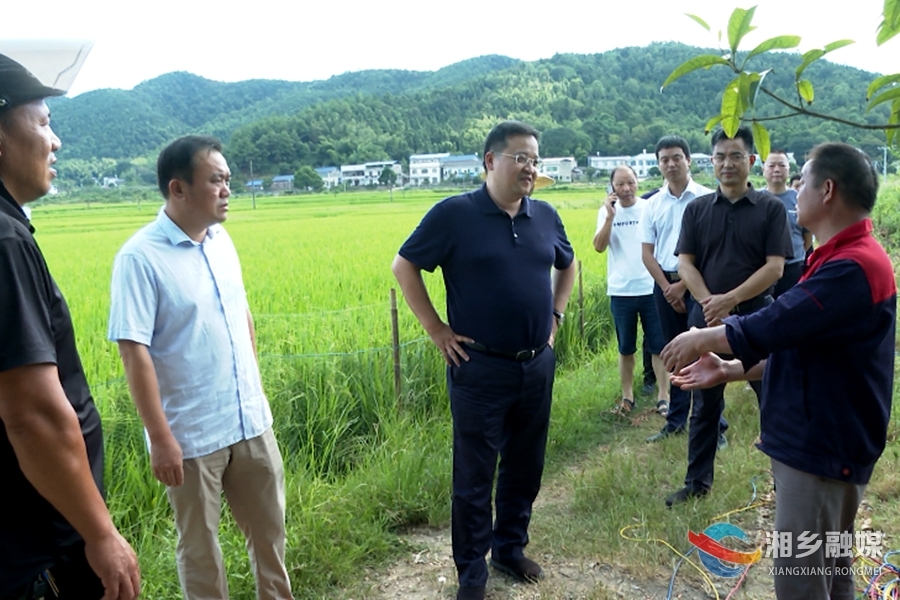 郭勇督导防旱抗旱工作时要求：坚决扛起政治责任 确保粮食稳产丰收