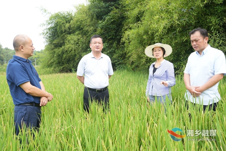 赵新文在调研调度防旱抗旱工作时指出：打赢防旱抗旱攻坚战 全力保障饮水和粮食安全