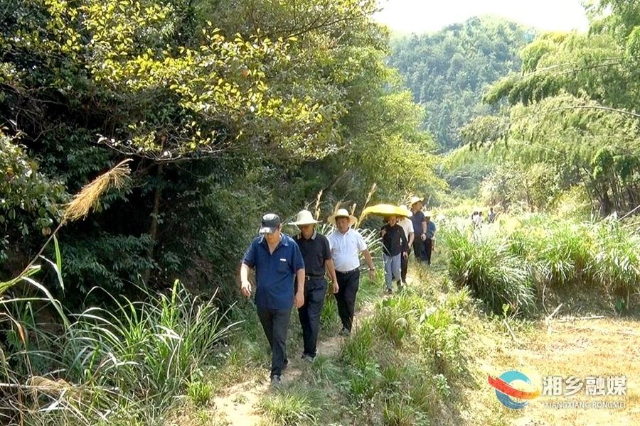 国家林草局来湘乡调研野生动植物执法和野生动物致害防控工作