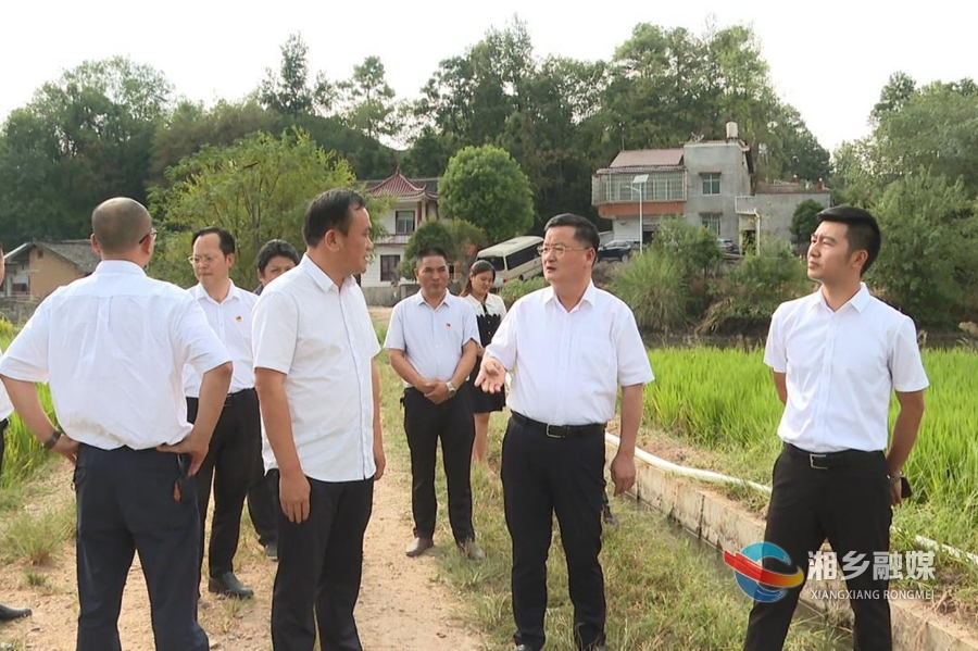 赵新文深入乡镇督导人居环境整治、防旱抗旱、森林防火等工作
