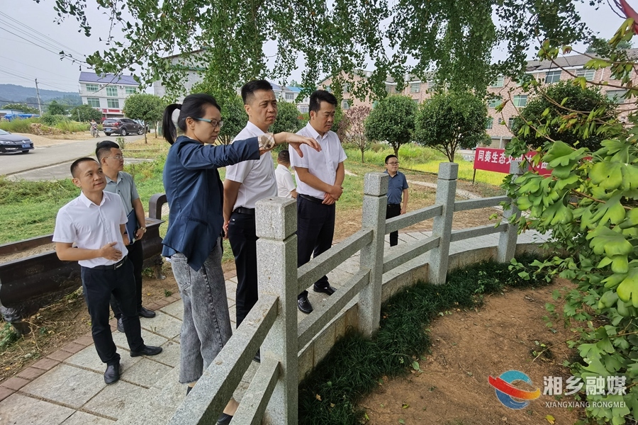 湘潭市副市长丁诚来湘乡调研文旅产业和乡村旅游发展