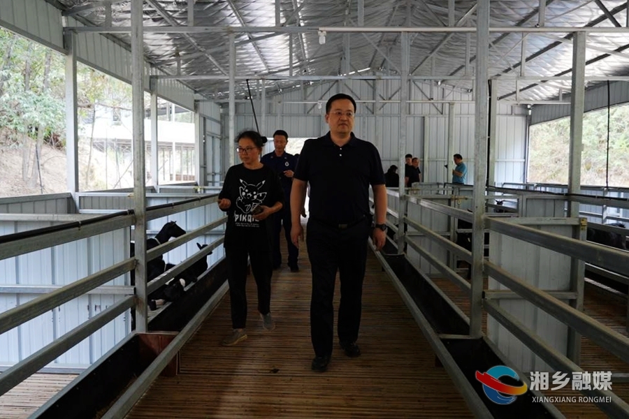 郭勇到翻江镇督导安全生产、疫情防控等重点工作