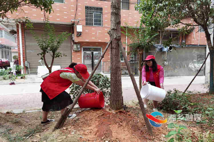 [气象局]深化“联点共建”志愿服务 共建文明幸福家园